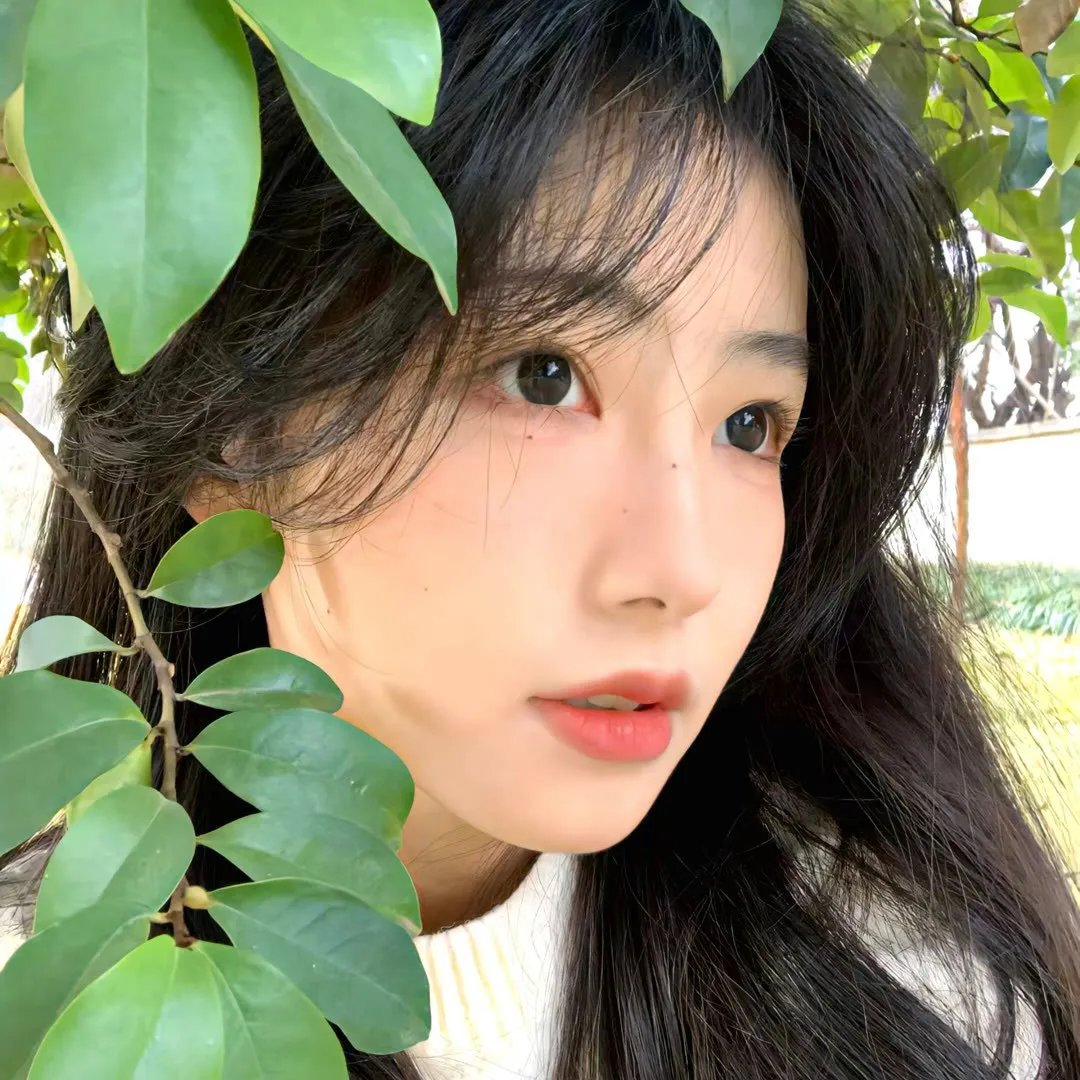 开罗的一天
